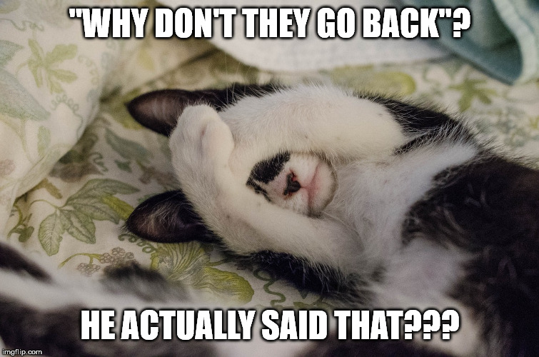 The man needs a cuddle | "WHY DON'T THEY GO BACK"? HE ACTUALLY SAID THAT??? | image tagged in cat,memes,trump,ocasio-cortez,cry for love | made w/ Imgflip meme maker