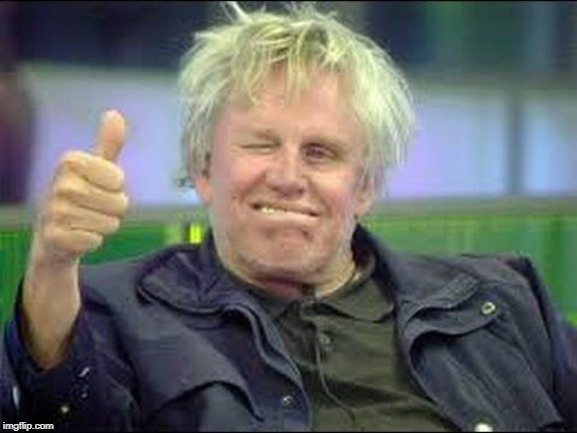 Gary Busey approves | image tagged in gary busey approves | made w/ Imgflip meme maker