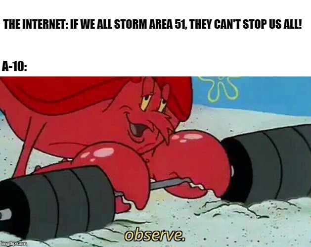 Observe | THE INTERNET: IF WE ALL STORM AREA 51, THEY CAN'T STOP US ALL! A-10: | image tagged in observe | made w/ Imgflip meme maker