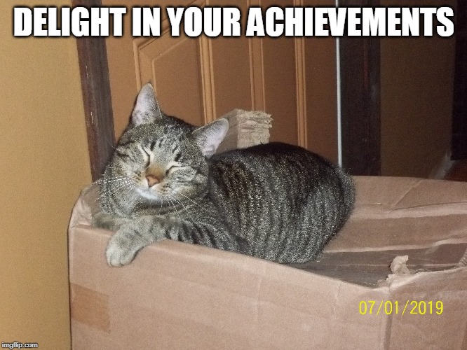 When You Know You're Good | DELIGHT IN YOUR ACHIEVEMENTS | image tagged in cats | made w/ Imgflip meme maker