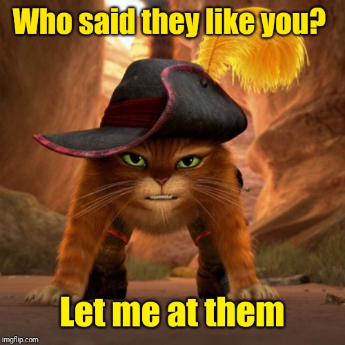 Puss in boots | Who said they like you? Let me at them | image tagged in puss in boots | made w/ Imgflip meme maker