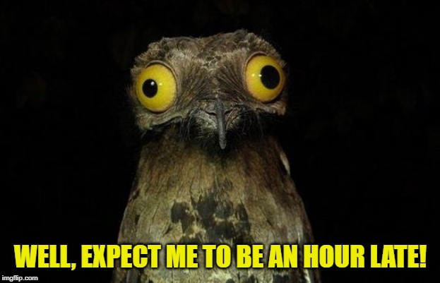 Weird Stuff I Do Potoo Meme | WELL, EXPECT ME TO BE AN HOUR LATE! | image tagged in memes,weird stuff i do potoo | made w/ Imgflip meme maker