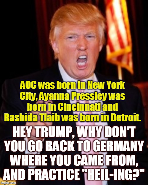 No more dog-whistles from Herr Drumpf. He's now pure full out Aryan racist. | AOC was born in New York City, Ayanna Pressley was born in Cincinnati and Rashida Tlaib was born in Detroit. HEY TRUMP, WHY DON'T YOU GO BACK TO GERMANY WHERE YOU CAME FROM, AND PRACTICE "HEIL-ING?" | image tagged in donald trump,racism,aoc,citizen | made w/ Imgflip meme maker