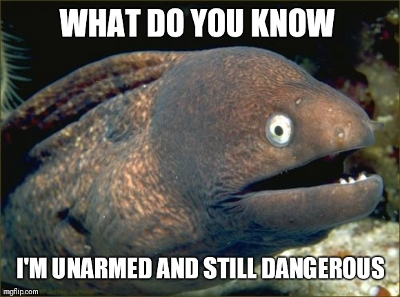 Bad Joke Eel Meme | WHAT DO YOU KNOW I'M UNARMED AND STILL DANGEROUS | image tagged in memes,bad joke eel | made w/ Imgflip meme maker