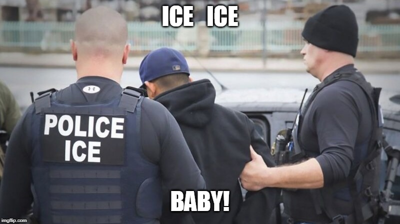 ICE ICE BABY | ICE   ICE; BABY! | image tagged in illegal immigration,police,ice | made w/ Imgflip meme maker
