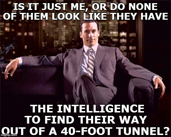 IS IT JUST ME, OR DO NONE OF THEM LOOK LIKE THEY HAVE THE INTELLIGENCE TO FIND THEIR WAY OUT OF A 40-FOOT TUNNEL? | made w/ Imgflip meme maker