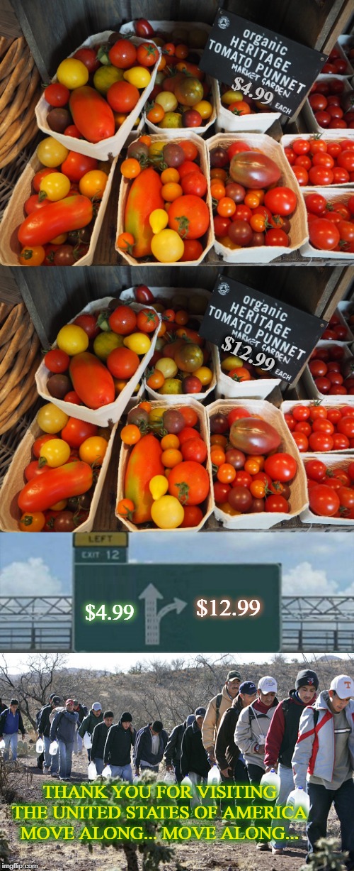 Do you wanna triple the price of produce? Because that's how you triple the price of produce. | $4.99; $12.99; $12.99; $4.99; THANK YOU FOR VISITING THE UNITED STATES OF AMERICA MOVE ALONG... MOVE ALONG... | image tagged in migrants,labor,hard work,immigration,opportunity | made w/ Imgflip meme maker
