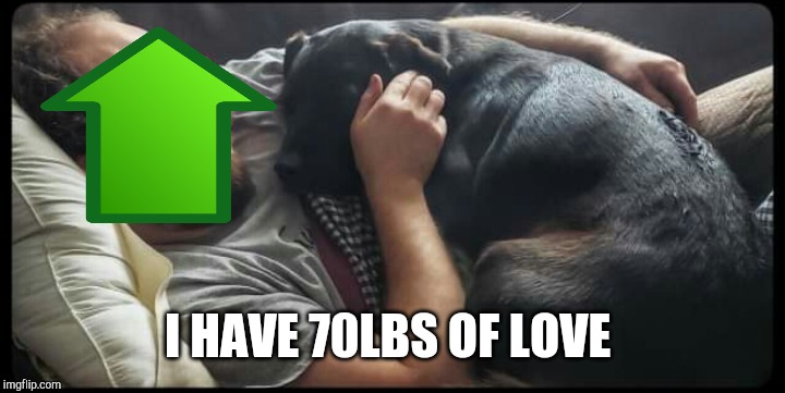 I HAVE 70LBS OF LOVE | made w/ Imgflip meme maker