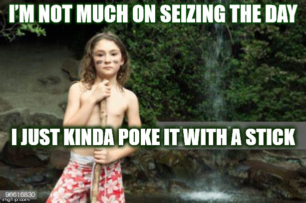 I POKE THE DAY WITH A STICK | I’M NOT MUCH ON SEIZING THE DAY; I JUST KINDA POKE IT WITH A STICK | image tagged in carpe diem,seize the day,stick,poke,girl,day | made w/ Imgflip meme maker