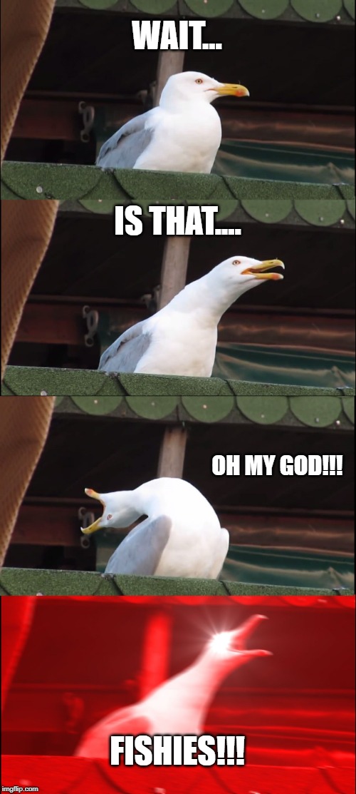 Inhaling Seagull | WAIT... IS THAT.... OH MY GOD!!! FISHIES!!! | image tagged in memes,inhaling seagull | made w/ Imgflip meme maker