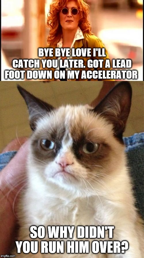 Maybe I've given the women of imgflip something to laugh about | BYE BYE LOVE I'LL CATCH YOU LATER. GOT A LEAD FOOT DOWN ON MY ACCELERATOR; SO WHY DIDN'T YOU RUN HIM OVER? | image tagged in memes,grumpy cat,music,1990s | made w/ Imgflip meme maker