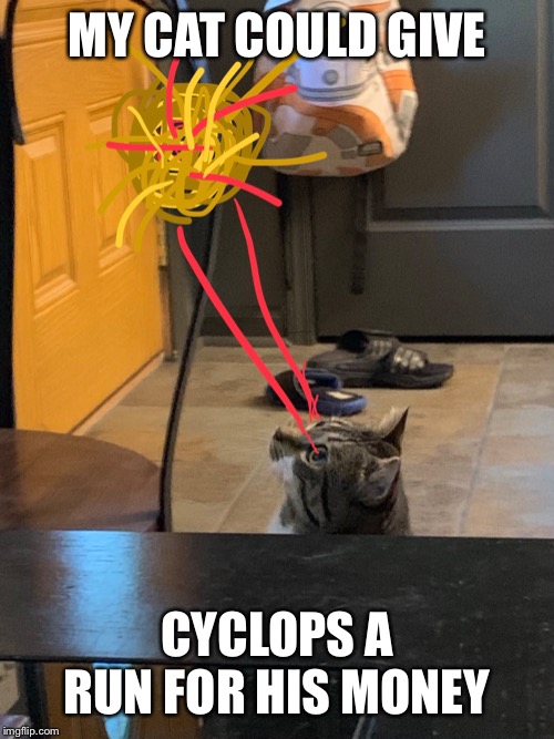 Welcome to the X-Cats |  MY CAT COULD GIVE; CYCLOPS A RUN FOR HIS MONEY | image tagged in cats,memes,funny,x-men,marvel,cyclops | made w/ Imgflip meme maker