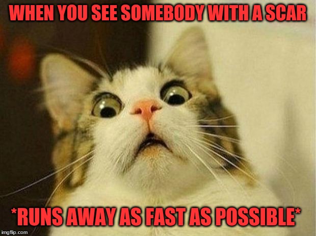 Scared Cat Meme | WHEN YOU SEE SOMEBODY WITH A SCAR; *RUNS AWAY AS FAST AS POSSIBLE* | image tagged in memes,scared cat | made w/ Imgflip meme maker