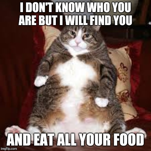 The fat cat returns! | I DON'T KNOW WHO YOU ARE BUT I WILL FIND YOU; AND EAT ALL YOUR FOOD | image tagged in fat cat | made w/ Imgflip meme maker