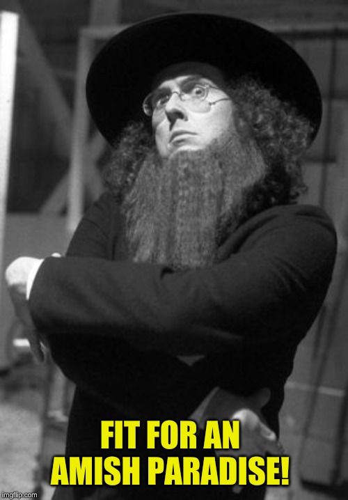 Weird Al Amish | FIT FOR AN AMISH PARADISE! | image tagged in weird al amish | made w/ Imgflip meme maker