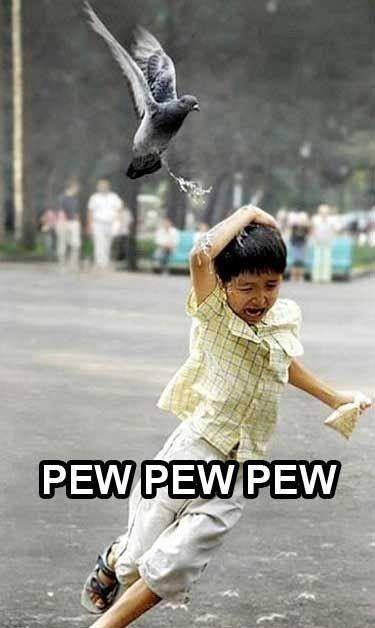 image tagged in funny