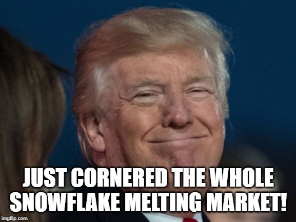 What he told Ilhan and Tlaib Was Epic! | JUST CORNERED THE WHOLE SNOWFLAKE MELTING MARKET! | image tagged in go back,snowflake,trump | made w/ Imgflip meme maker