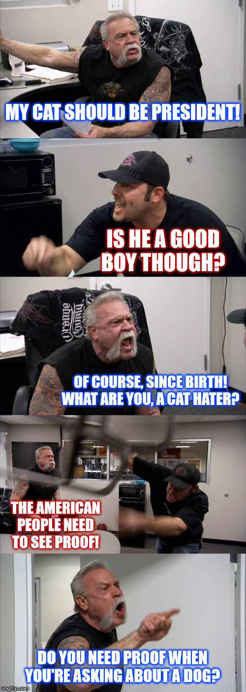 Best Boy | MY CAT SHOULD BE PRESIDENT! IS HE A GOOD BOY THOUGH? OF COURSE, SINCE BIRTH! WHAT ARE YOU, A CAT HATER? THE AMERICAN PEOPLE NEED TO SEE PROOF! DO YOU NEED PROOF WHEN YOU'RE ASKING ABOUT A DOG? | image tagged in memes,american chopper argument,cats,president | made w/ Imgflip meme maker