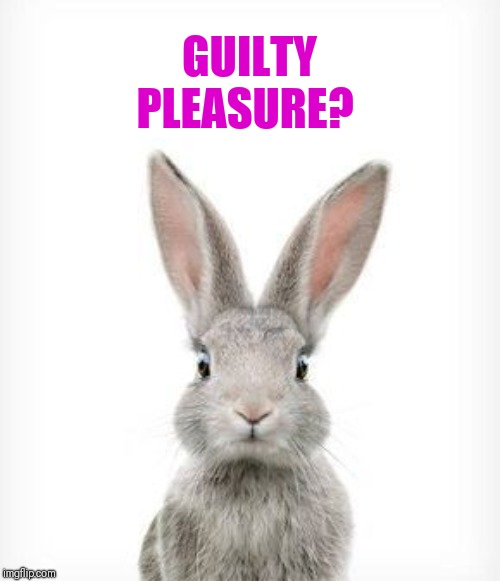 That song or movie that you're too embarrassed to admit you like. | GUILTY PLEASURE? | image tagged in guilty pleasure,curious bunny | made w/ Imgflip meme maker