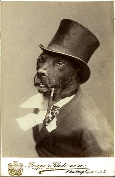 Dog with Top Hat Blank Meme Template