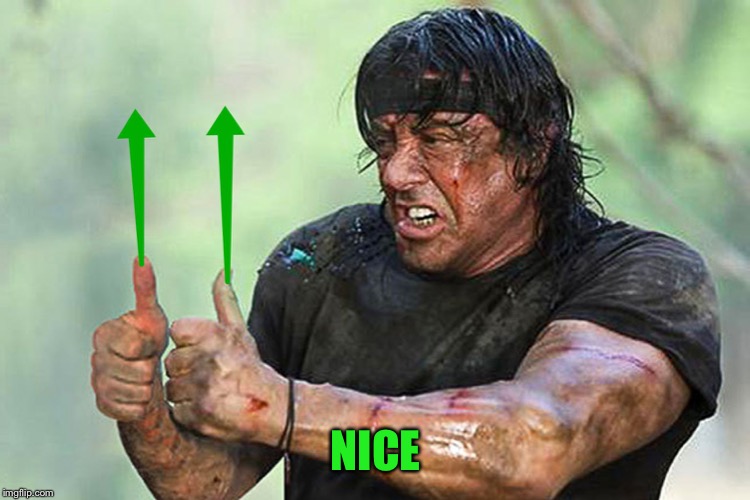 Two Thumbs Up Vote | NICE | image tagged in two thumbs up vote | made w/ Imgflip meme maker