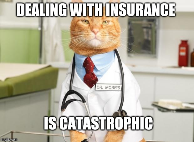 Cat Doctor | DEALING WITH INSURANCE; IS CATASTROPHIC | image tagged in cat doctor | made w/ Imgflip meme maker