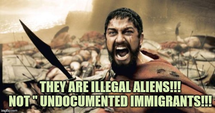 Sparta Leonidas | THEY ARE ILLEGAL ALIENS!!!
NOT " UNDOCUMENTED IMMIGRANTS!!! | image tagged in memes,sparta leonidas | made w/ Imgflip meme maker