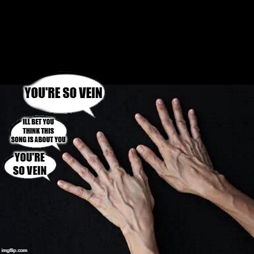 you're so vein | YOU'RE SO VEIN; ILL BET YOU THINK THIS SONG IS ABOUT YOU; YOU'RE SO VEIN | image tagged in veins,your so | made w/ Imgflip meme maker