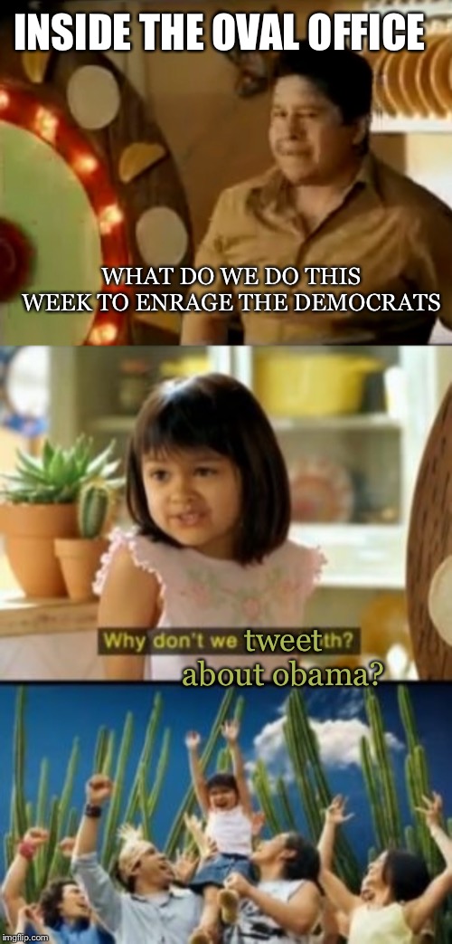 INSIDE THE OVAL OFFICE; WHAT DO WE DO THIS WEEK TO ENRAGE THE DEMOCRATS; tweet about obama? | image tagged in memes,why not both | made w/ Imgflip meme maker