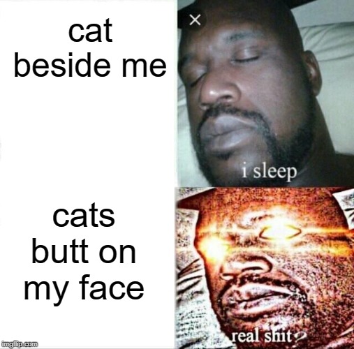 Can't lie, love a good cat snuggle, just not on the face | cat beside me; cats butt on my face | image tagged in memes,sleeping shaq | made w/ Imgflip meme maker