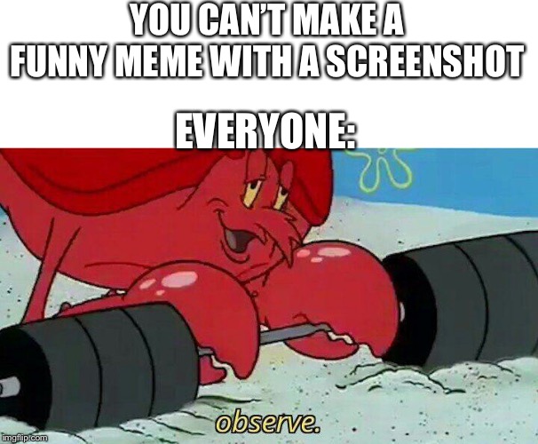 Observe | YOU CAN’T MAKE A FUNNY MEME WITH A SCREENSHOT; EVERYONE: | image tagged in observe | made w/ Imgflip meme maker