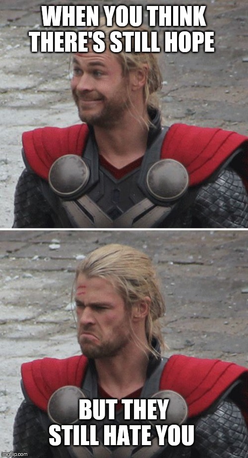 Thor happy then sad | WHEN YOU THINK THERE'S STILL HOPE BUT THEY STILL HATE YOU | image tagged in thor happy then sad | made w/ Imgflip meme maker