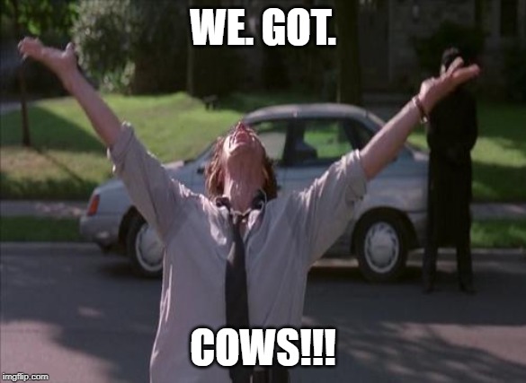 There was a firefight! | WE. GOT. COWS!!! | image tagged in there was a firefight | made w/ Imgflip meme maker