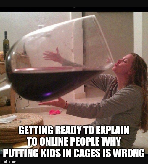 Giant glass of wine | GETTING READY TO EXPLAIN TO ONLINE PEOPLE WHY PUTTING KIDS IN CAGES IS WRONG | image tagged in giant glass of wine | made w/ Imgflip meme maker