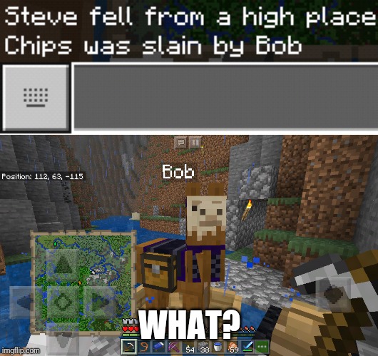 Chips *was* my horse | WHAT? | image tagged in llama,horse,minecraft,funny memes,death,tragedy | made w/ Imgflip meme maker