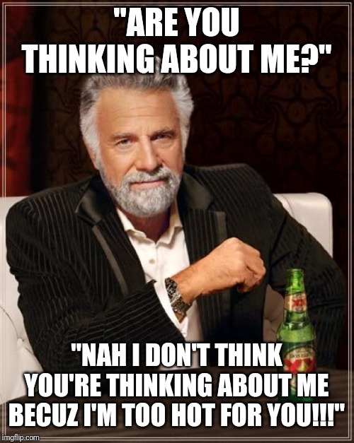 Messed up bro | "ARE YOU THINKING ABOUT ME?"; "NAH I DON'T THINK YOU'RE THINKING ABOUT ME BECUZ I'M TOO HOT FOR YOU!!!" | image tagged in memes,the most interesting man in the world,haha,funny | made w/ Imgflip meme maker