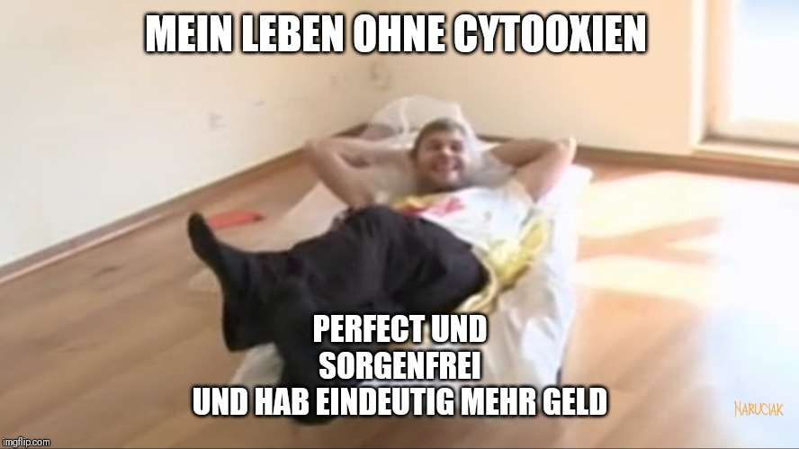 MEIN LEBEN OHNE CYTOOXIEN; PERFECT UND
SORGENFREI
UND HAB EINDEUTIG MEHR GELD | made w/ Imgflip meme maker