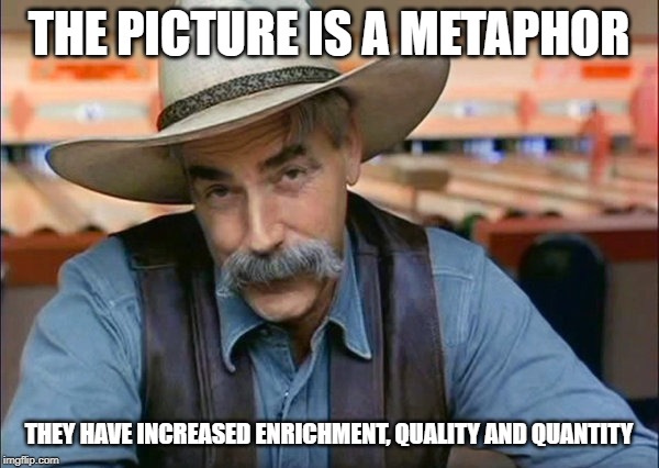 Sam Elliott special kind of stupid | THE PICTURE IS A METAPHOR THEY HAVE INCREASED ENRICHMENT, QUALITY AND QUANTITY | image tagged in sam elliott special kind of stupid | made w/ Imgflip meme maker