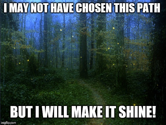 fireflies | I MAY NOT HAVE CHOSEN THIS PATH; BUT I WILL MAKE IT SHINE! | image tagged in fireflies | made w/ Imgflip meme maker
