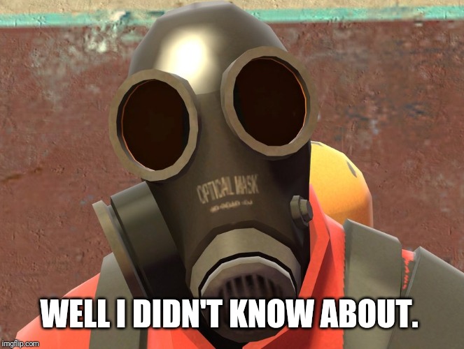 Pyro Faces | WELL I DIDN'T KNOW ABOUT. | image tagged in pyro faces | made w/ Imgflip meme maker