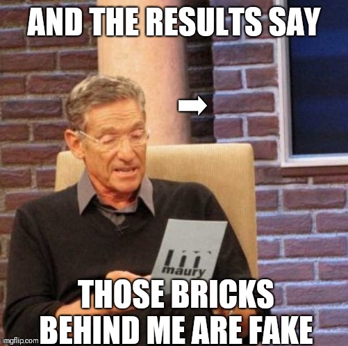 Maury Lie Detector Meme | AND THE RESULTS SAY; ➡; THOSE BRICKS BEHIND ME ARE FAKE | image tagged in memes,maury lie detector | made w/ Imgflip meme maker