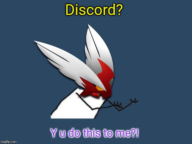 Y u no Blaze the Blaziken | Discord? Y u do this to me?! | image tagged in y u no blaze the blaziken | made w/ Imgflip meme maker