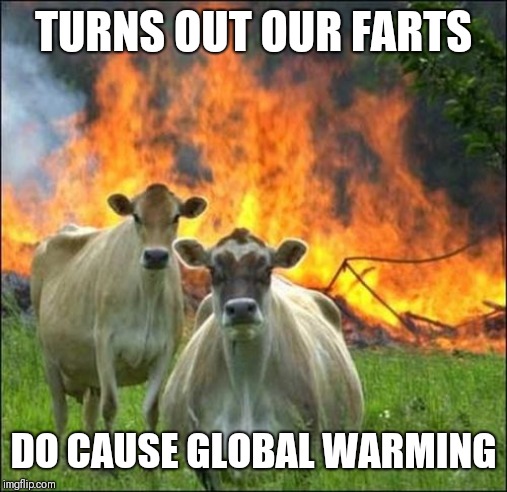 Evil Cows Meme | TURNS OUT OUR FARTS; DO CAUSE GLOBAL WARMING | image tagged in memes,evil cows | made w/ Imgflip meme maker