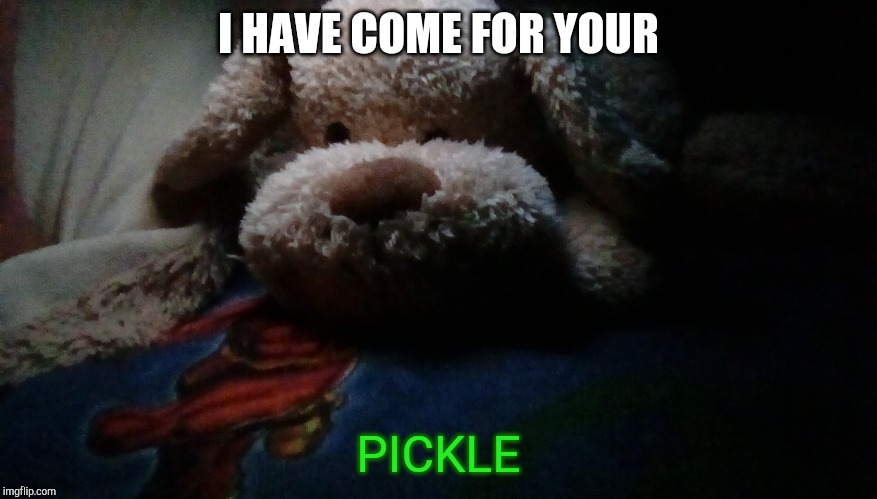 Brownpuppy62 strikes fear | I HAVE COME FOR YOUR; PICKLE | image tagged in brownpuppy62 strikes fear | made w/ Imgflip meme maker