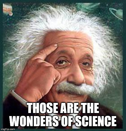 einstein | THOSE ARE THE WONDERS OF SCIENCE | image tagged in einstein | made w/ Imgflip meme maker