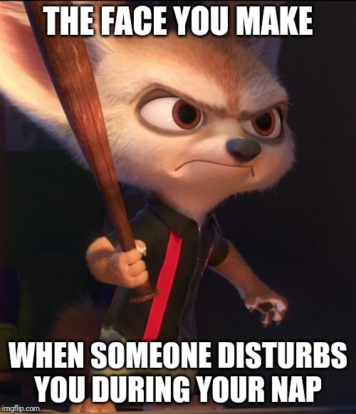 Do not disturb | THE FACE YOU MAKE; WHEN SOMEONE DISTURBS YOU DURING YOUR NAP | image tagged in finnick angry,zootopia,nap,funny,memes | made w/ Imgflip meme maker