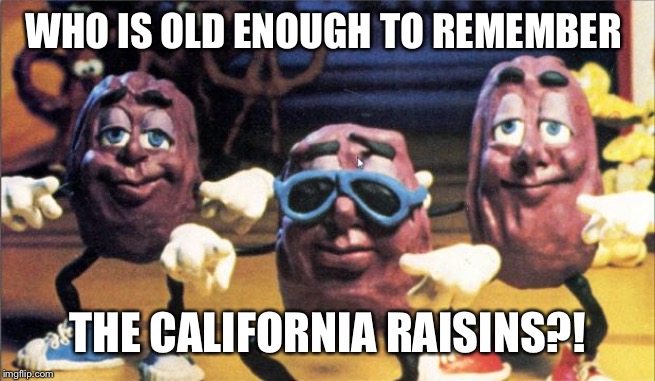 California Raisins | WHO IS OLD ENOUGH TO REMEMBER; THE CALIFORNIA RAISINS?! | image tagged in california raisins | made w/ Imgflip meme maker