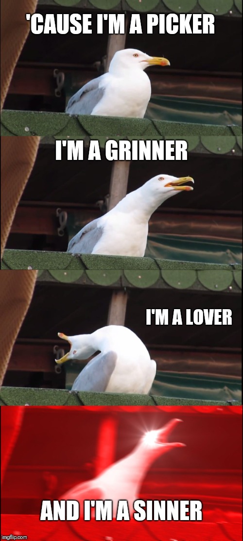Inhaling Seagull Meme | 'CAUSE I'M A PICKER; I'M A GRINNER; I'M A LOVER; AND I'M A SINNER | image tagged in memes,inhaling seagull | made w/ Imgflip meme maker