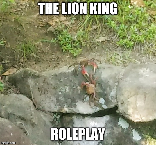 Lion King Roleplay