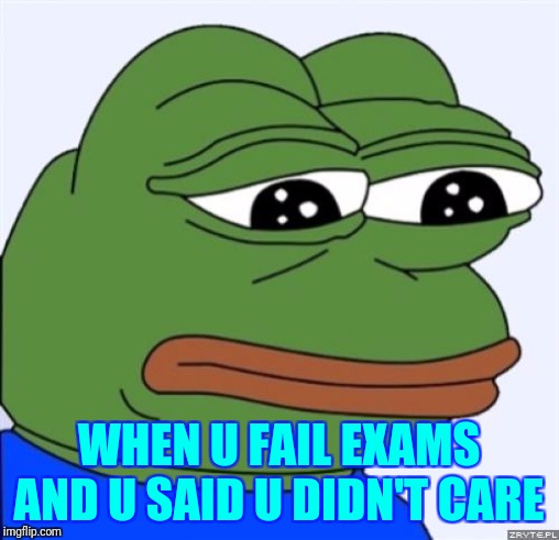 sad frog | WHEN U FAIL EXAMS AND U SAID U DIDN'T CARE | image tagged in sad frog | made w/ Imgflip meme maker